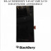 Дисплей BlackBerry Z20 Leap LCD